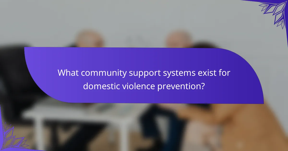 What community support systems exist for domestic violence prevention?